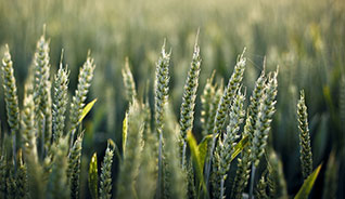 ddos在线攻击测试网站